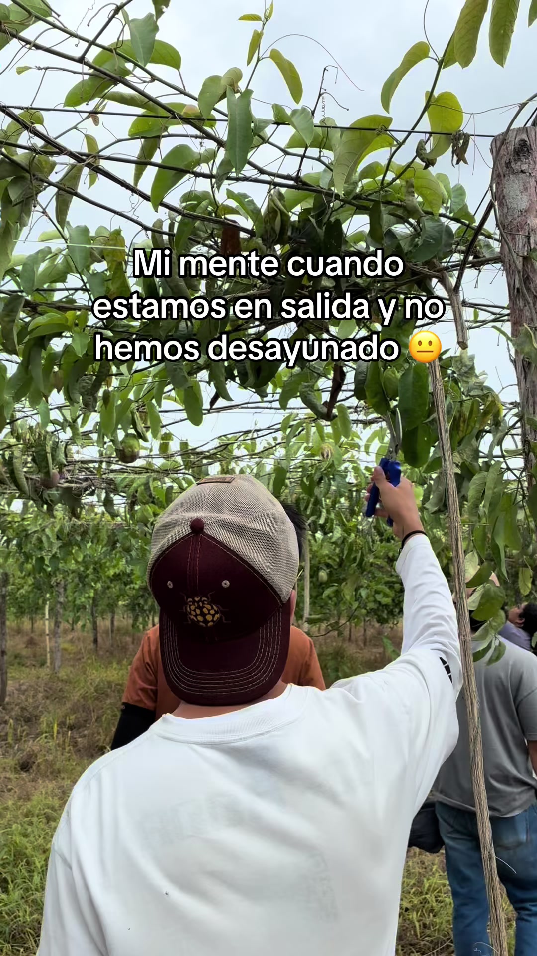 @Juan Felipe G 🧑🏻&zwj;🌾