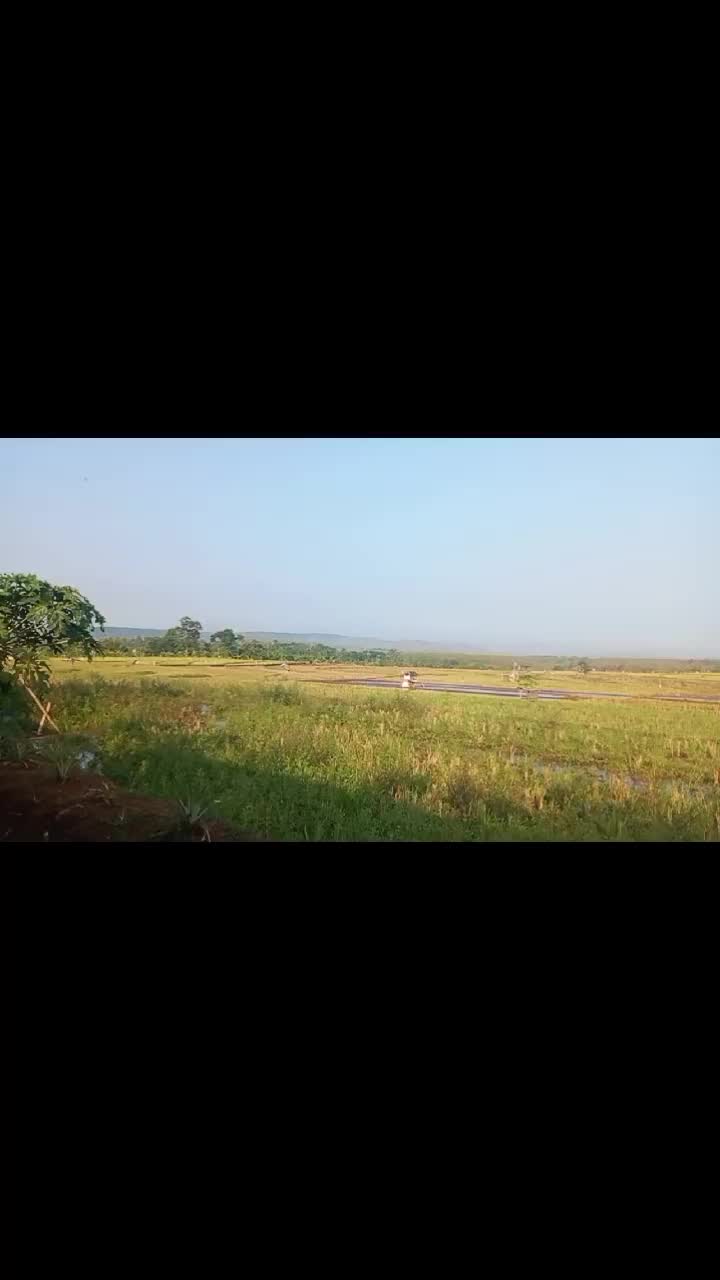 @Raya
