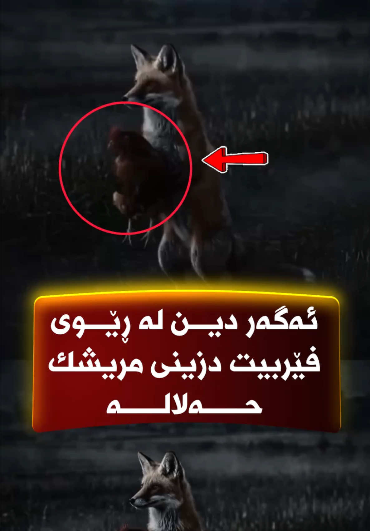 @🎤📺 𓆩جیگر هەركی𓆪 Journalist