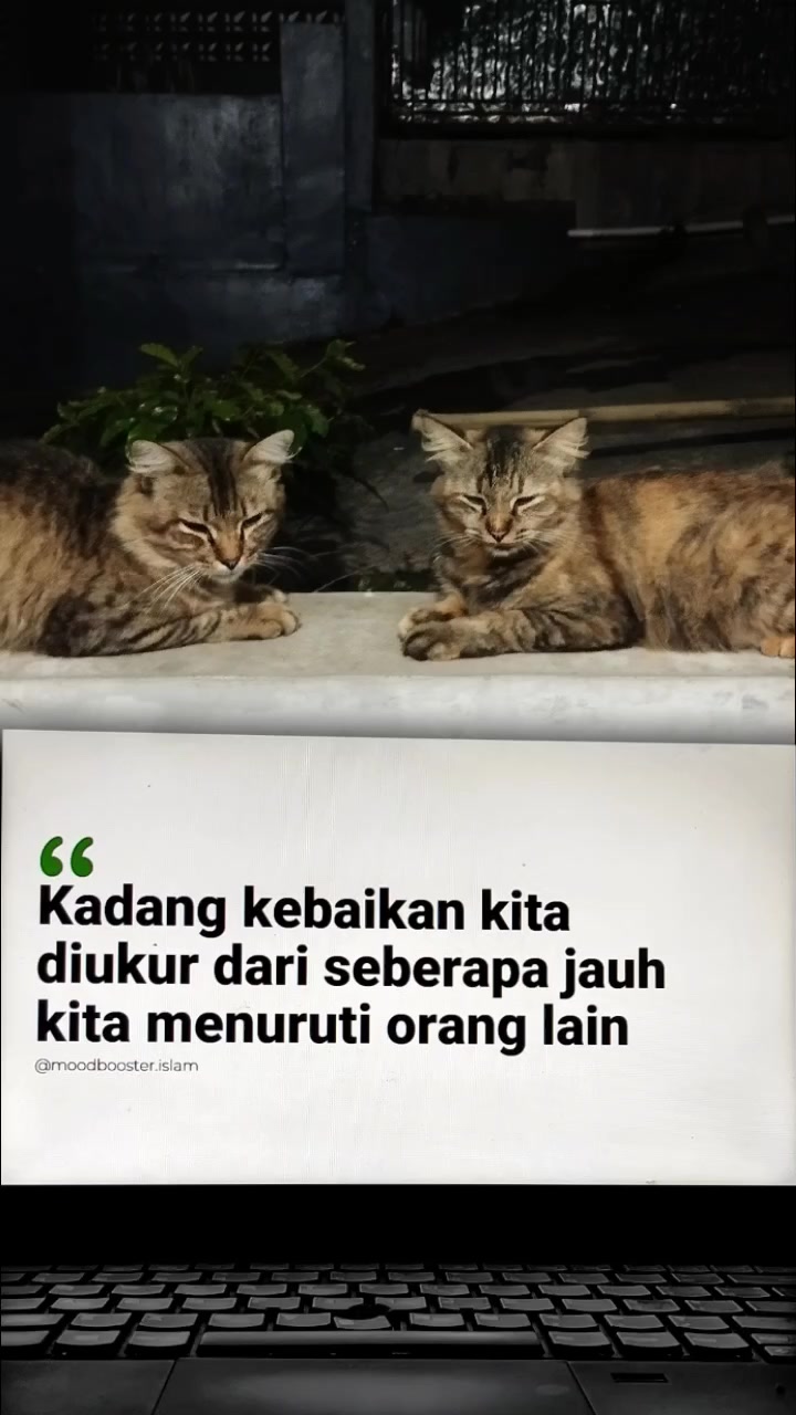 @AEgaN