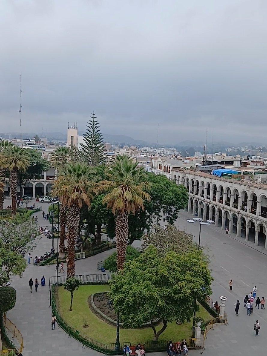 @Canelo_Kanelón