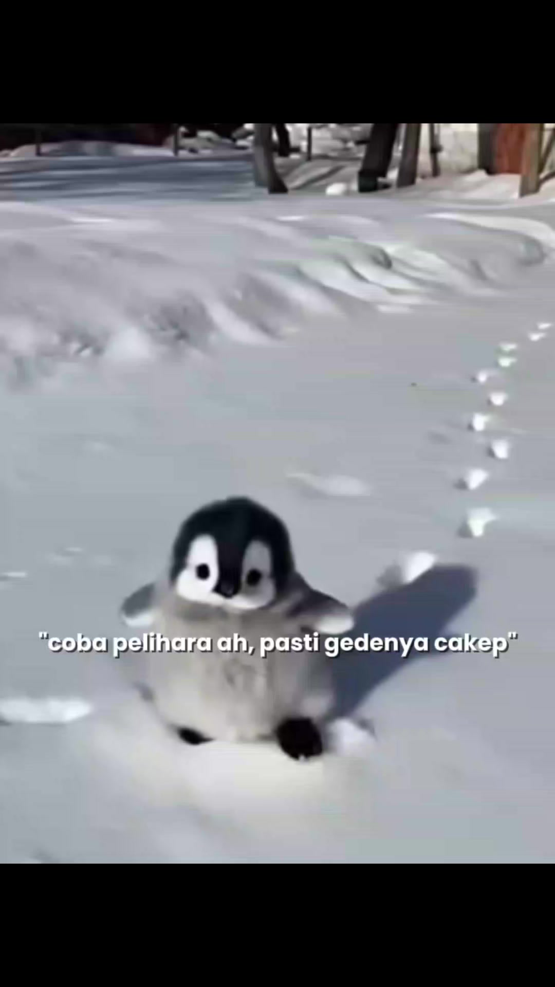 @azkaP🐧🍒
