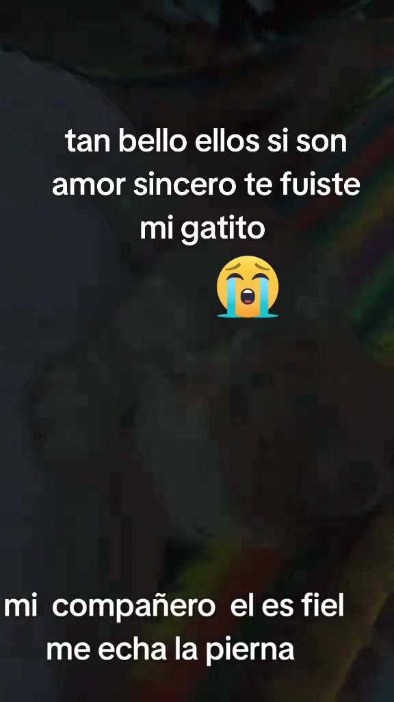 @BeronicaSanchez