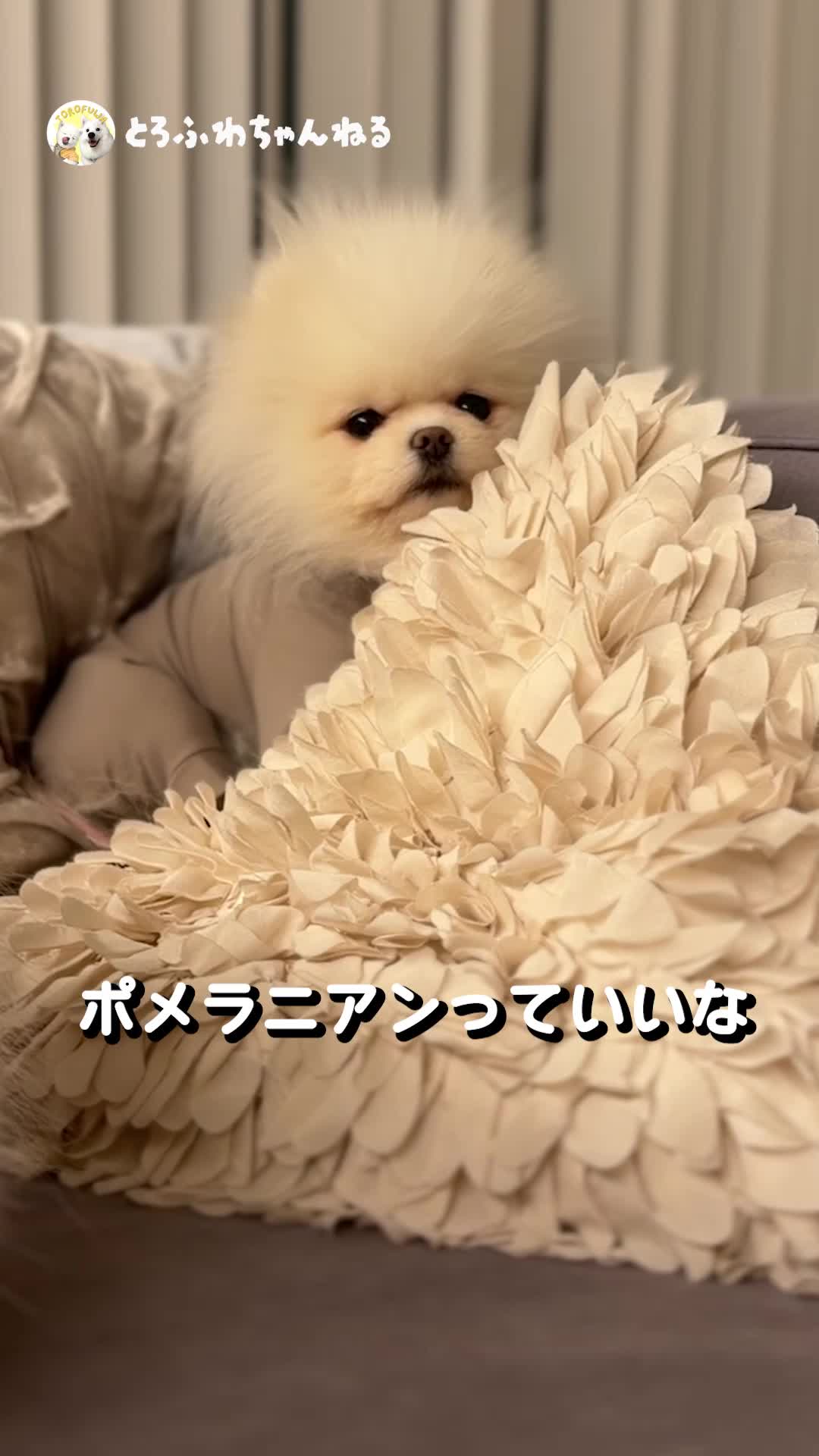@とろふわ