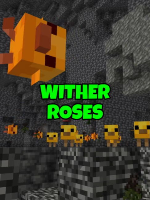 @silentwisperer