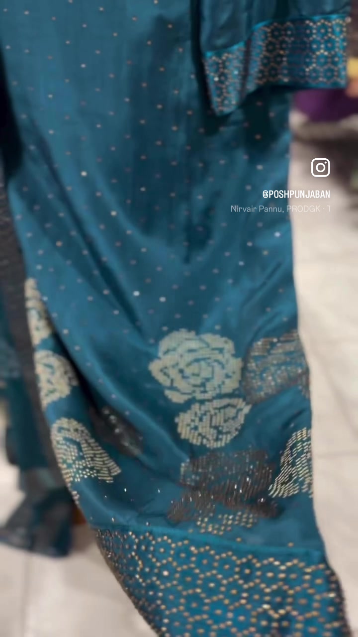 @Posh Punjaban