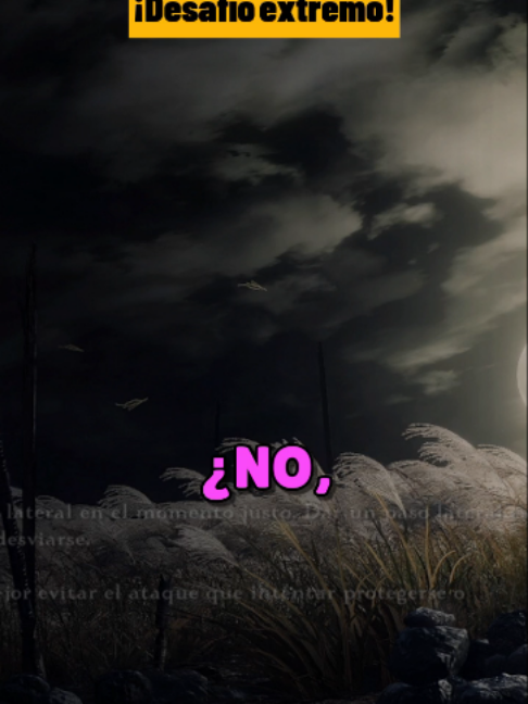 @ZED