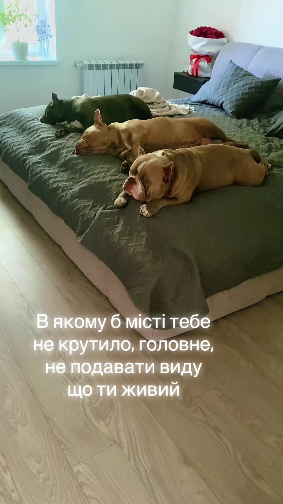 @Gre4anka