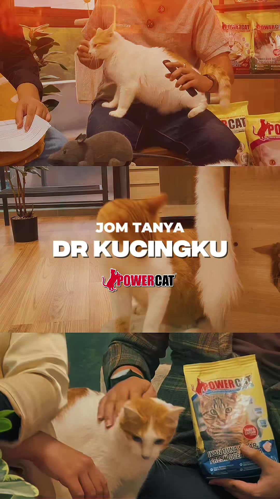 @Powercat Official