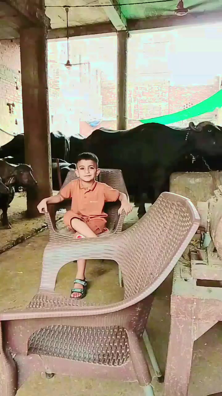 @Ch M Shahzad gujjar