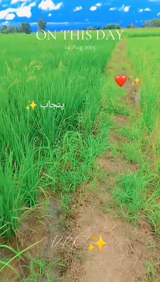 @ViRK ✨