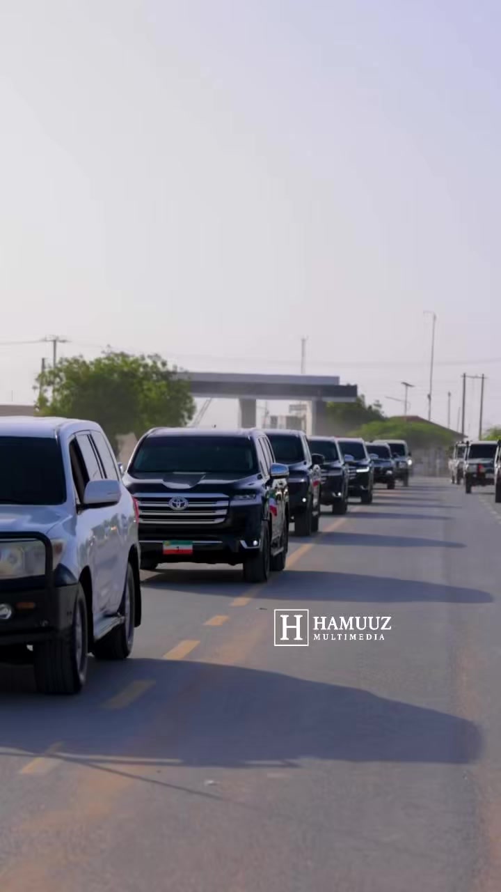 @Hamuuz🎥