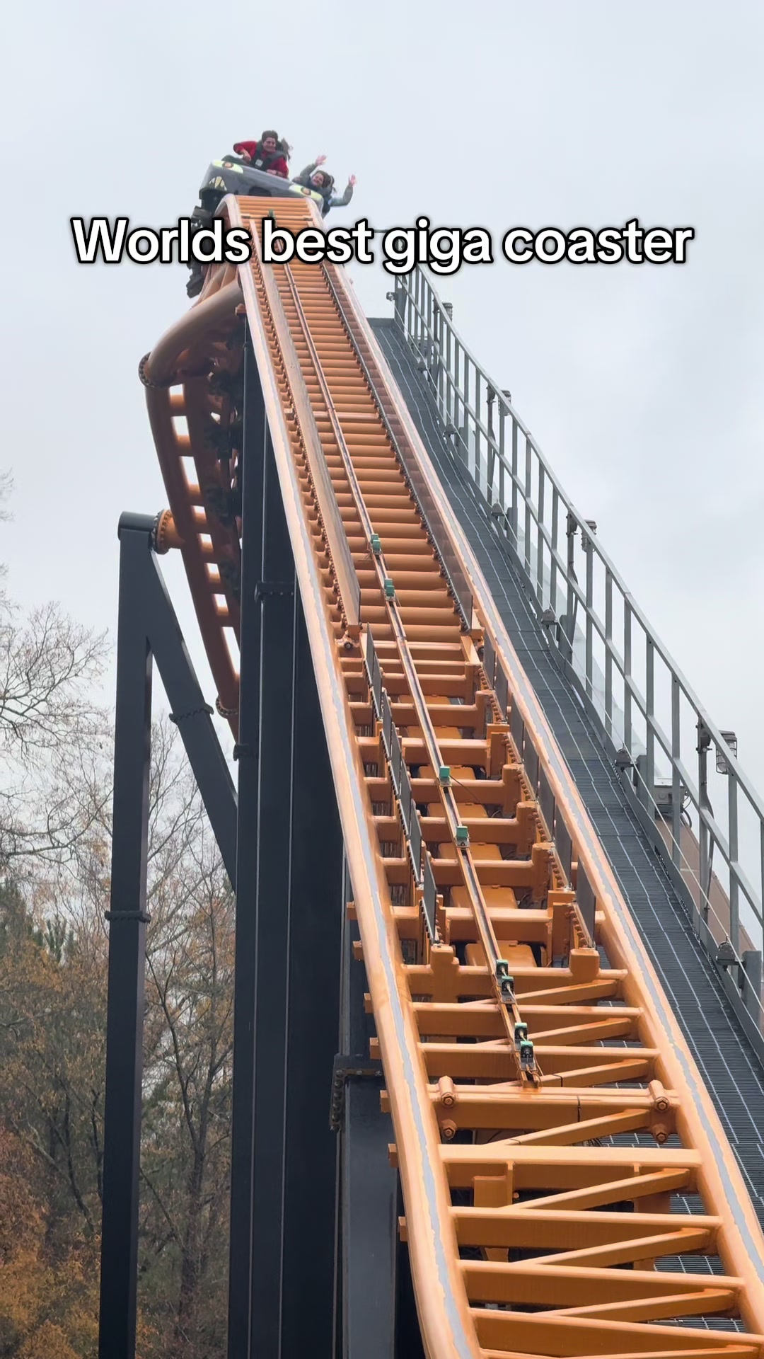 @smthboutrollercoasters