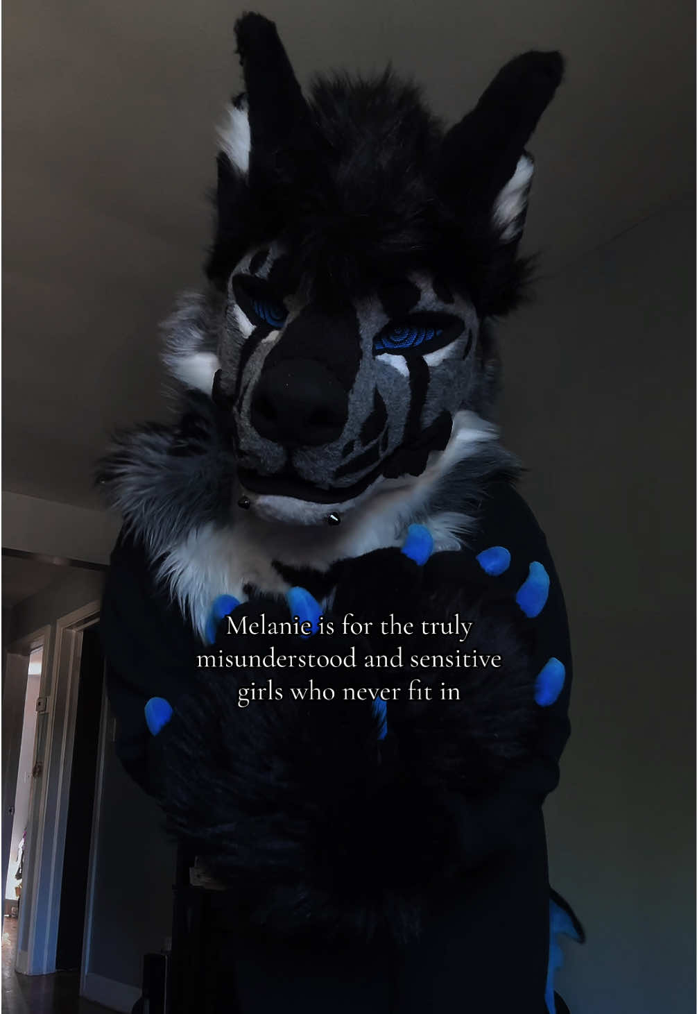 @sonar_hyena_shark