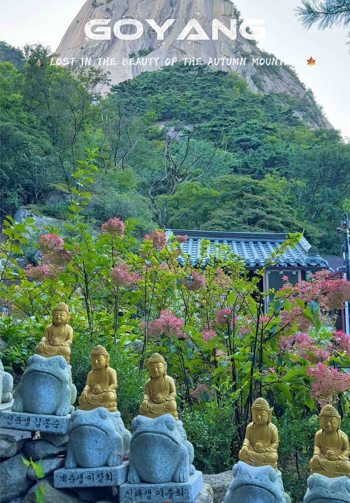@Jun 🇻🇳