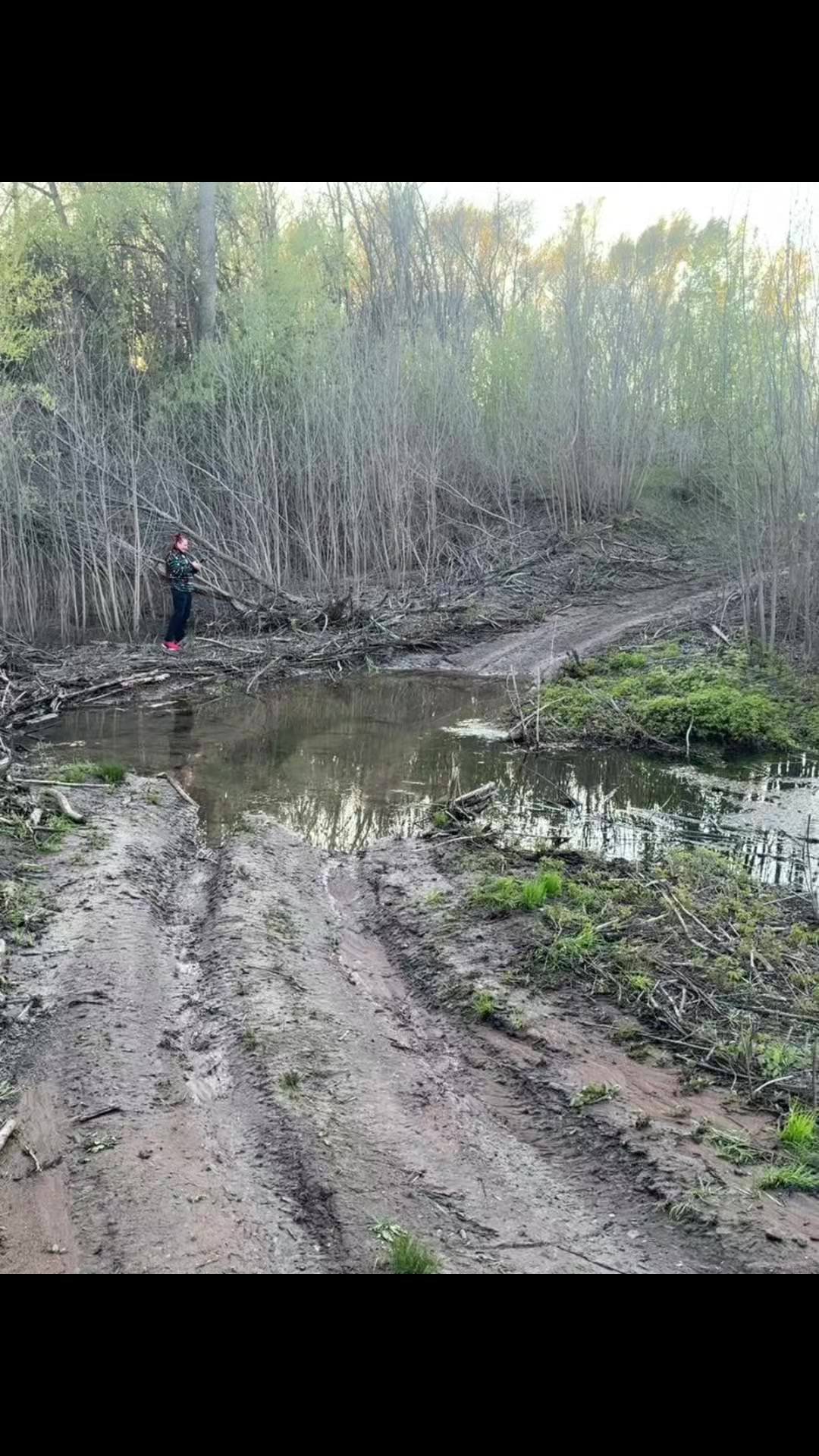 @Николай Боленко