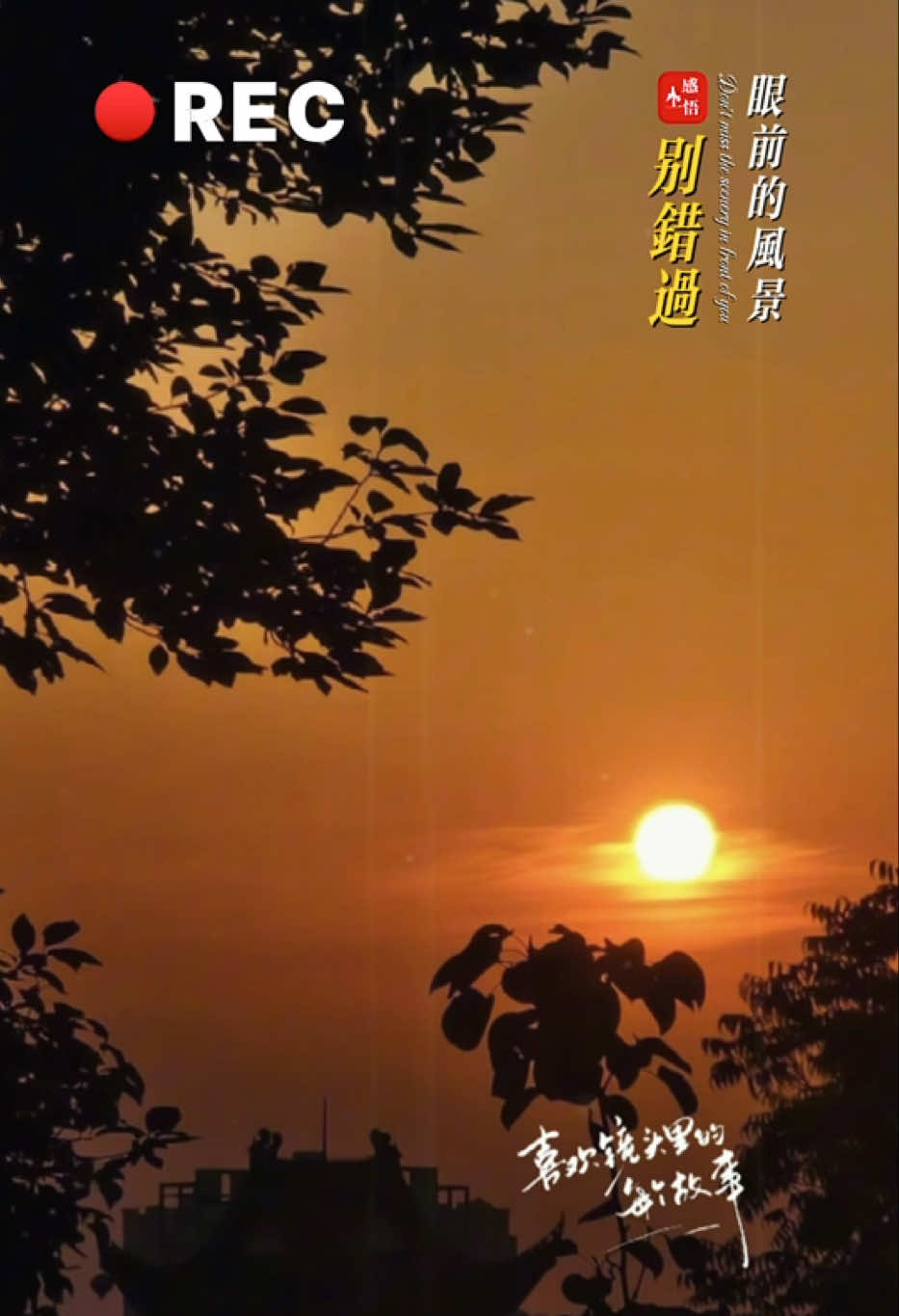 @菲菲