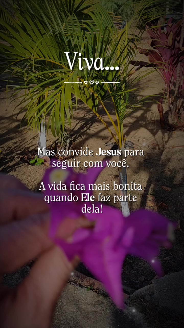 @Sítio Flor de Maria