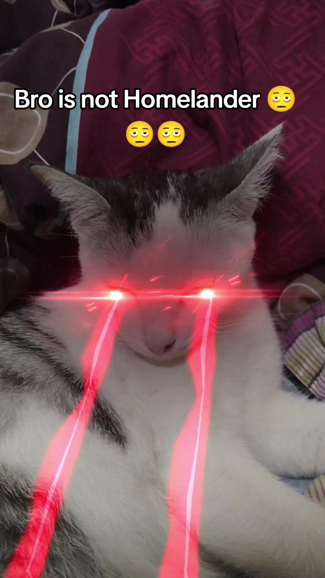 @ꜰᴀɴᴄʏᴋɪᴅ [🇹🇭]