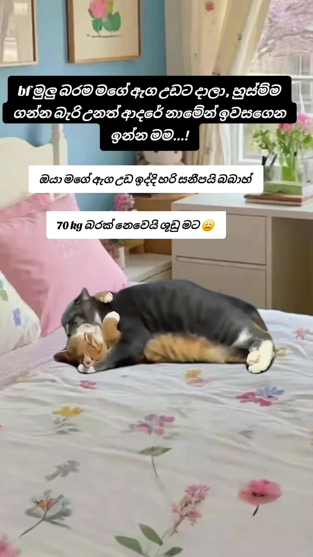 @꧁💓🌸 සිතු✾𝄟͜ 🌸💓 සිතු✾𝄟͜ ꧂