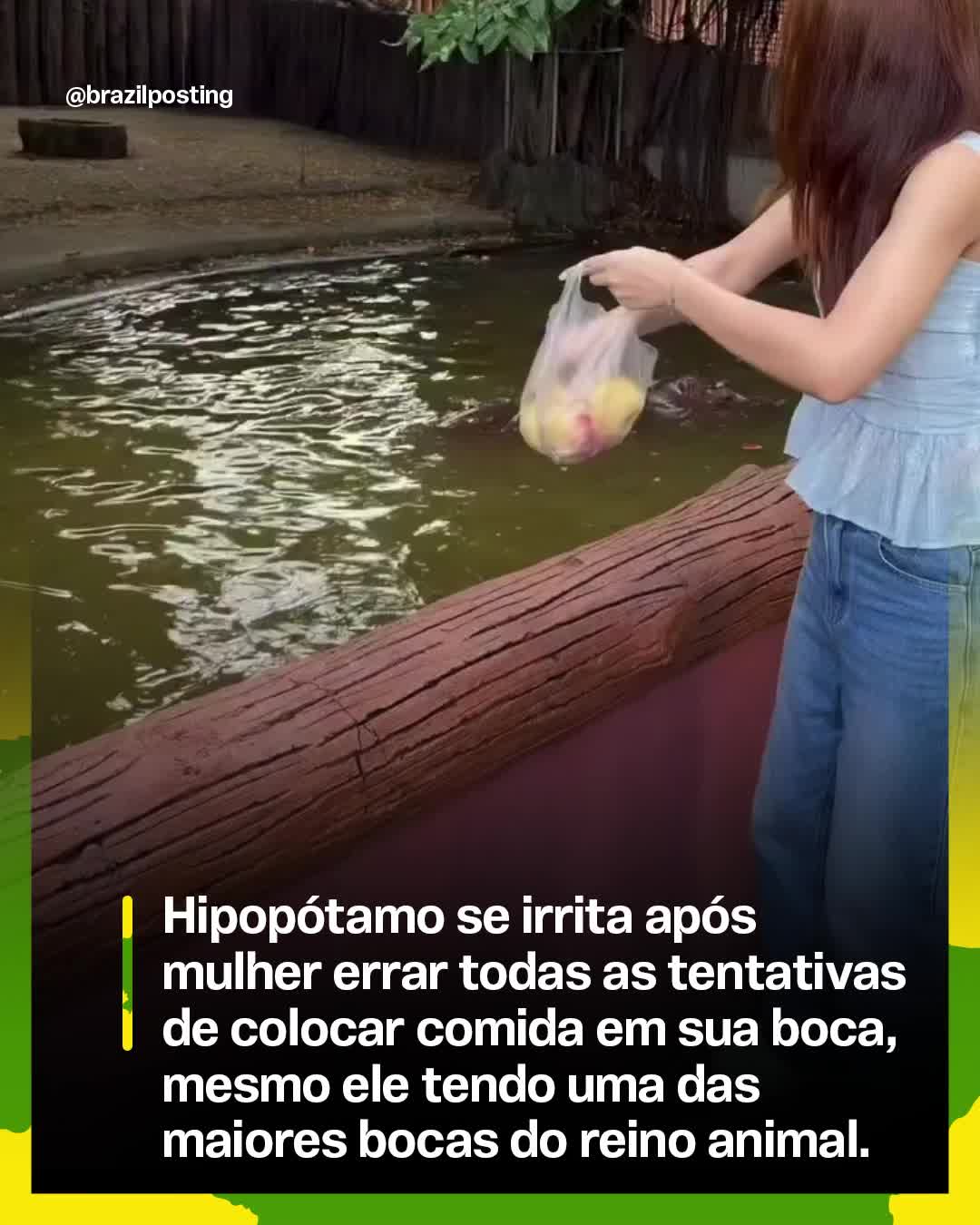 @Brazil Posting