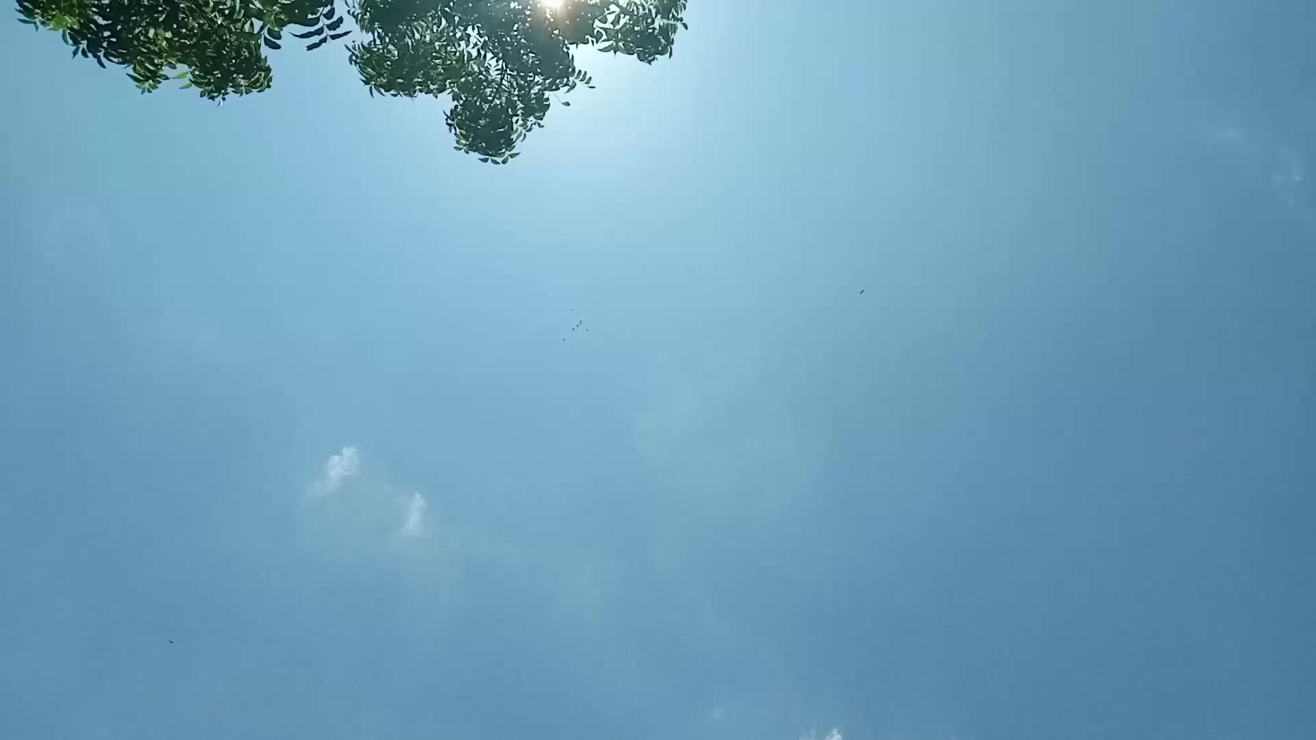 @VIHAGA 💋🗣️🚭