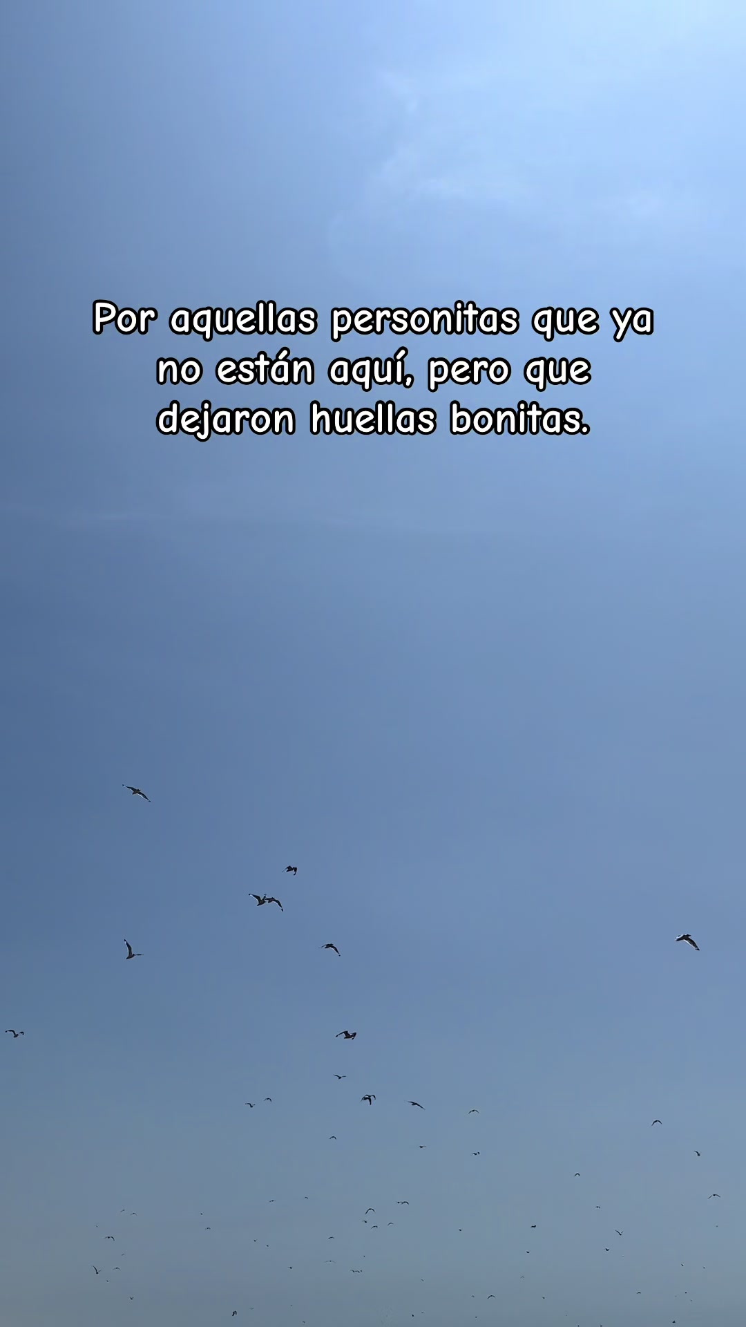 @EL PADRE TIKTOKER