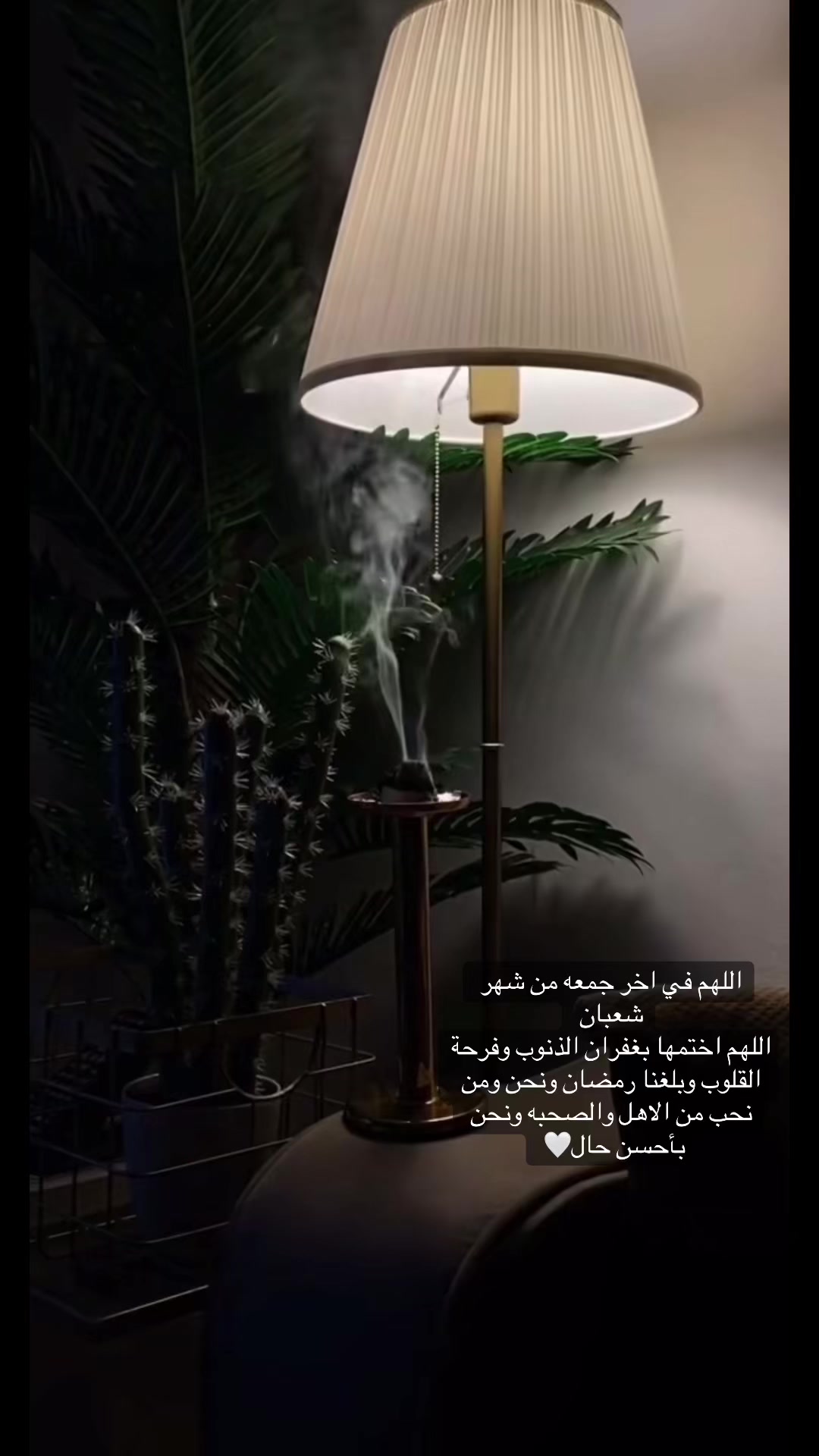 @nouf