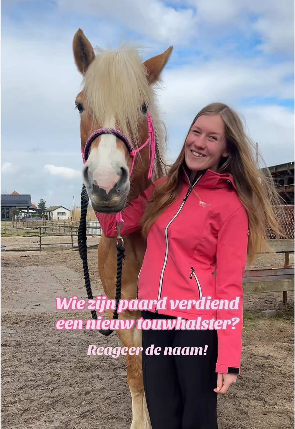 @horsecharms.com