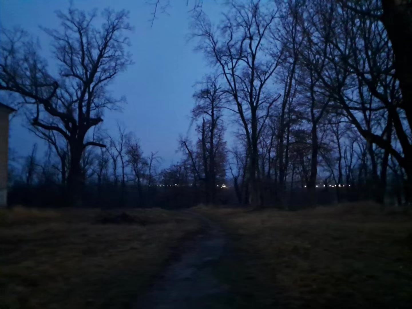 @звуки для липсингов///