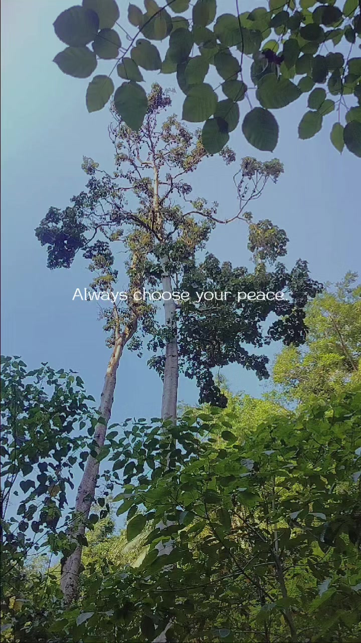 @Ailyn๐ต๐ญ๐๐ฉ๐ช