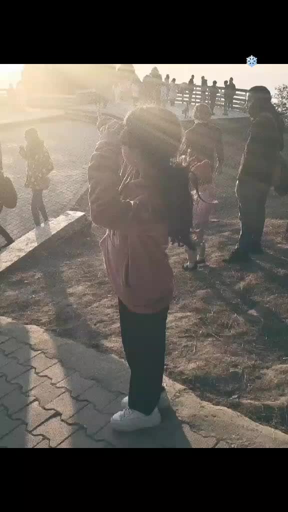 @🌻
