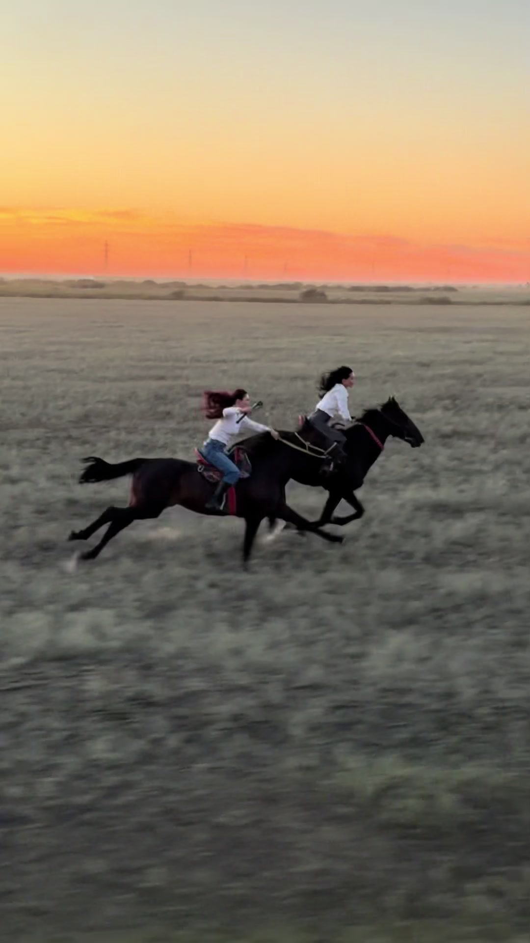 @NAZEKA🐎