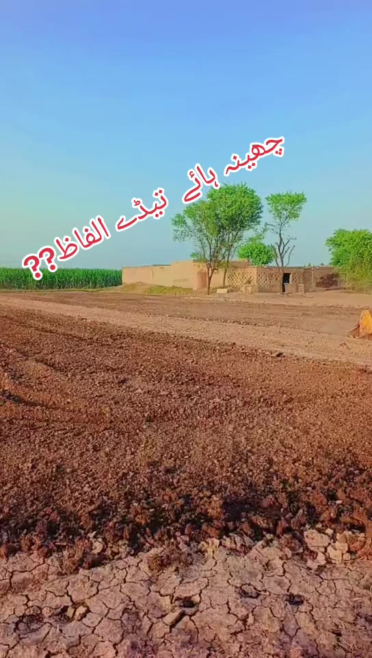 @malikarslanawan106