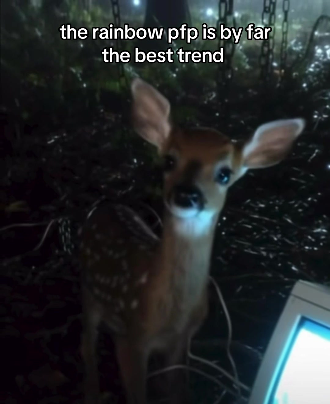 @emi