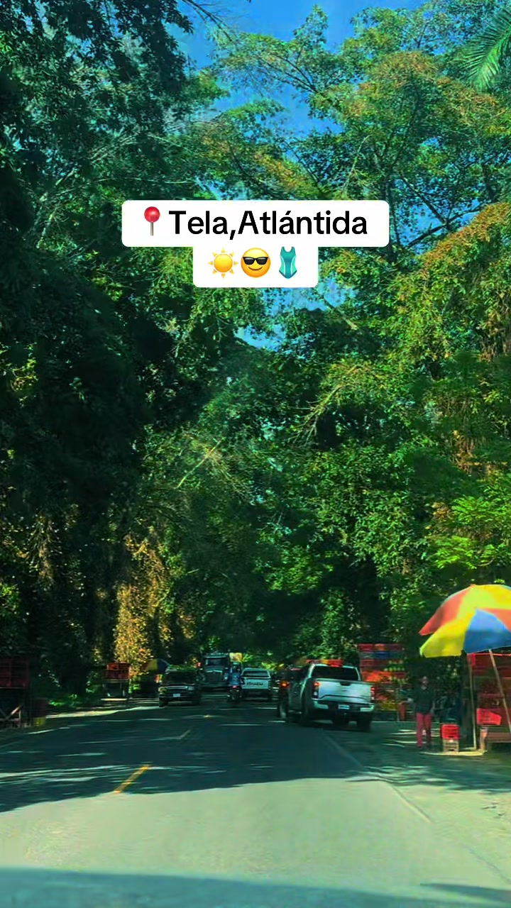 @Melissa Andrade