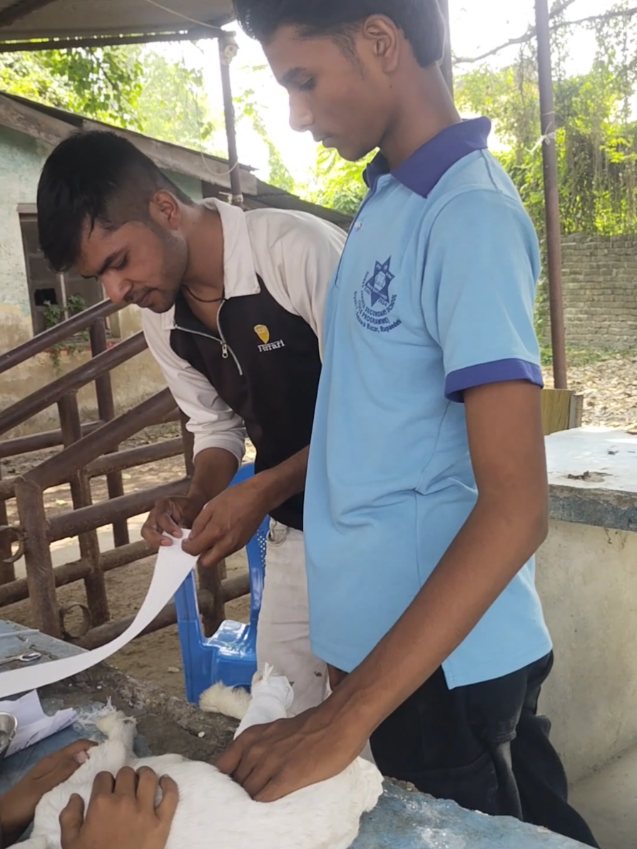 @Prajapati Agro Vet