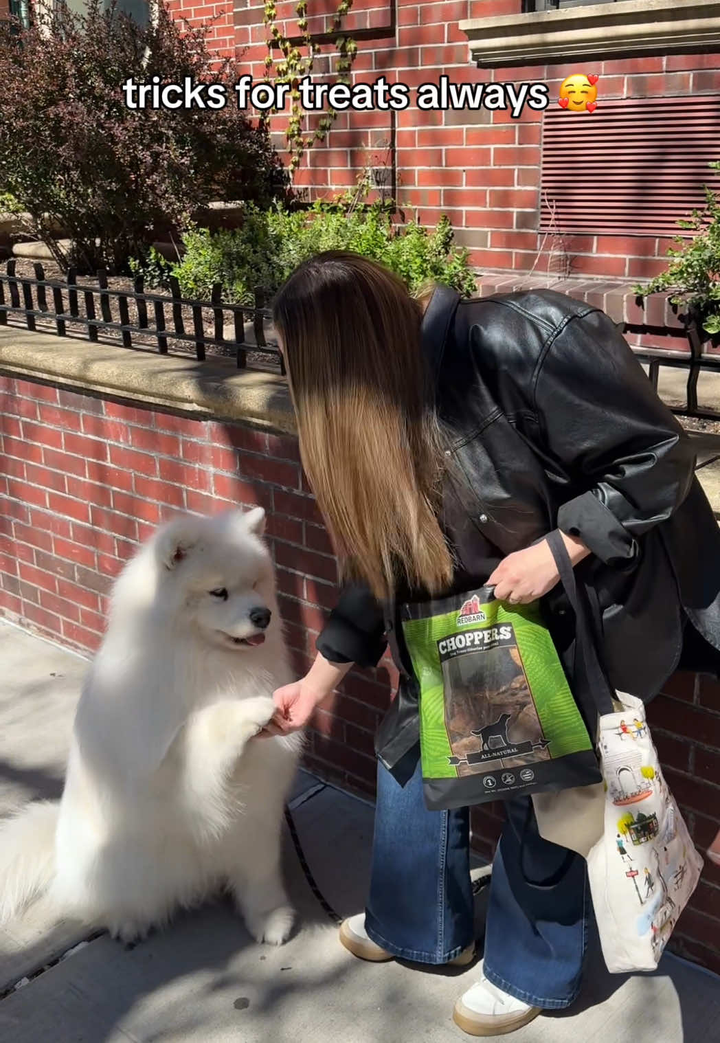@Biff the Samoyed