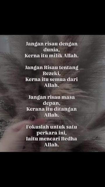 @Anim