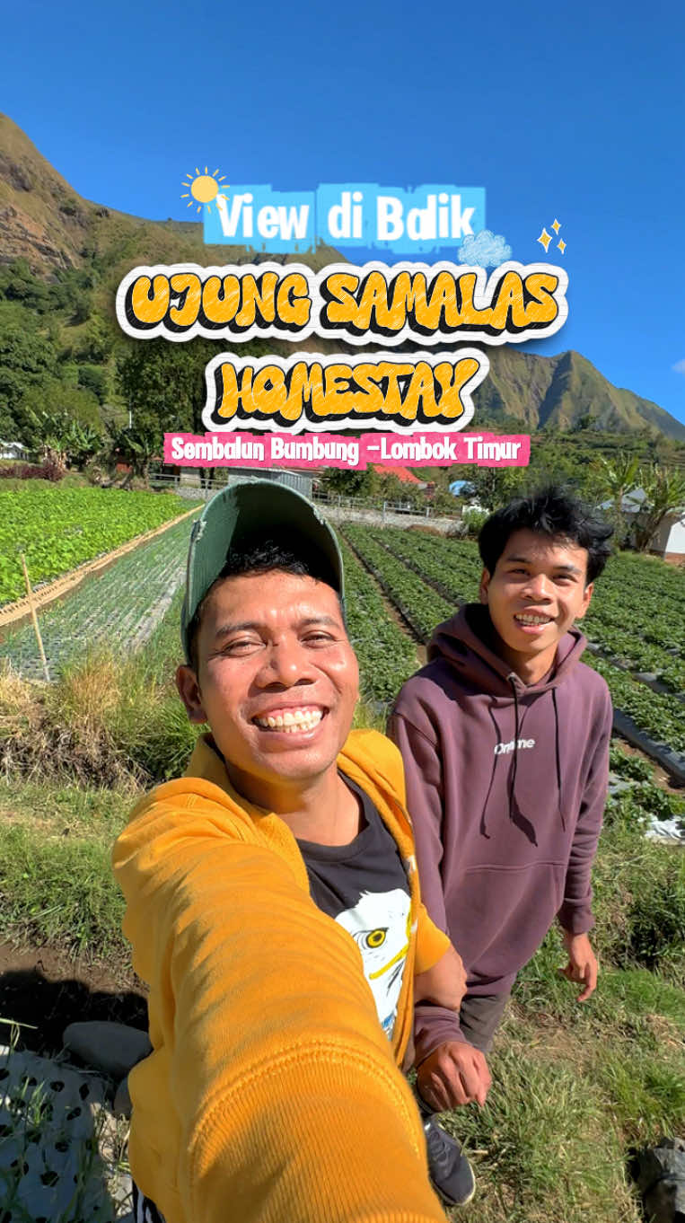 @Udin Sedunia Official