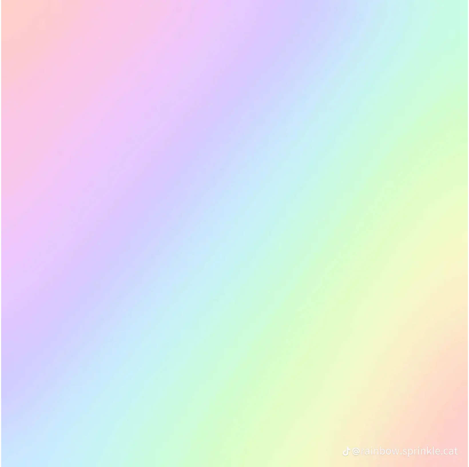 @&lsquo;  𝒾𝓈𝓁𝒶🐚