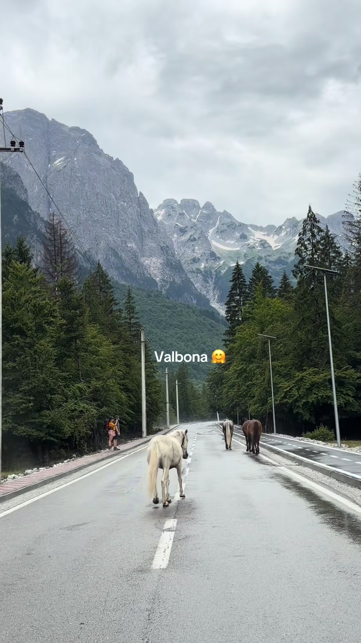 @Ilove__valbona