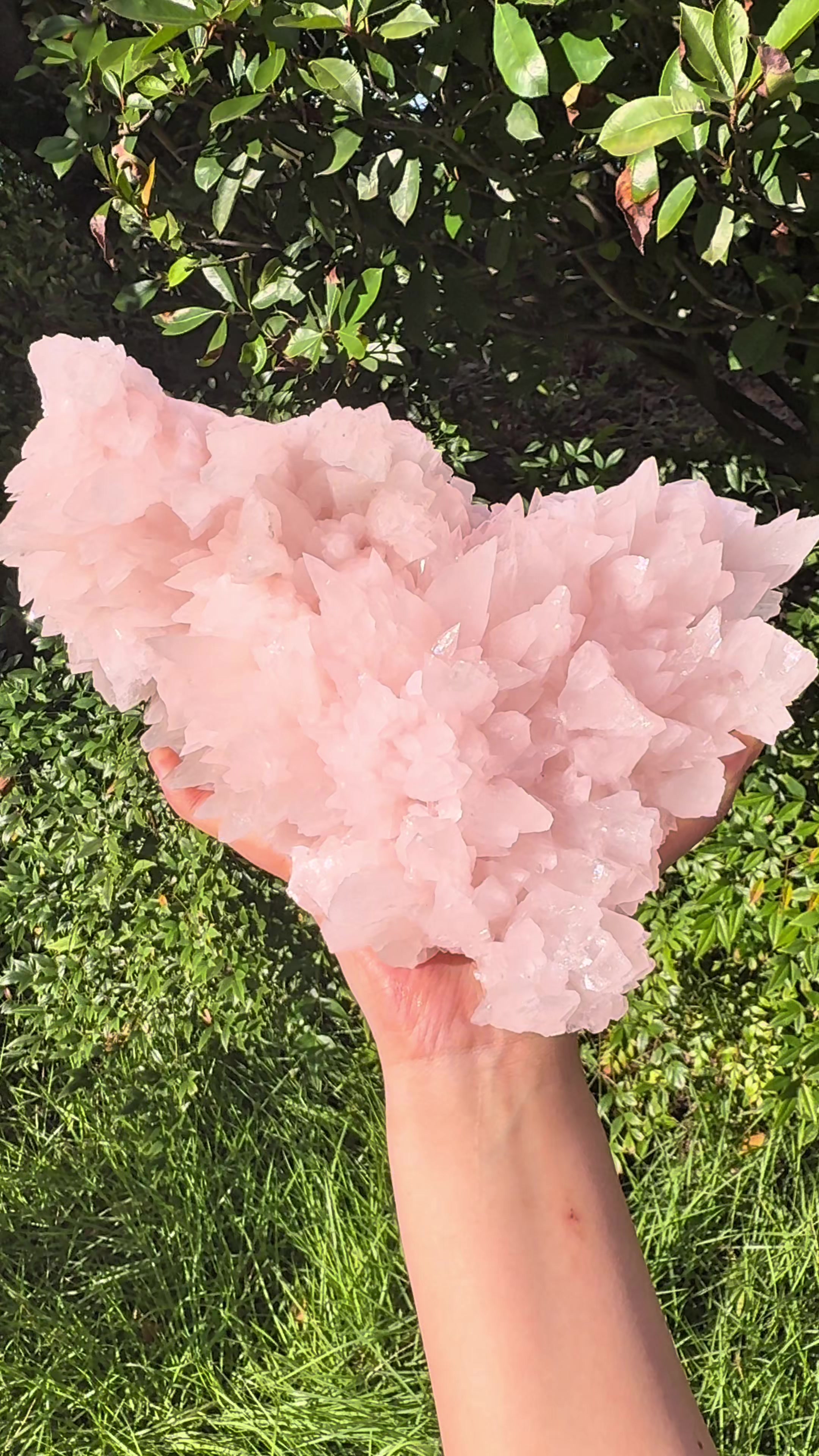 @Cherished Minerals