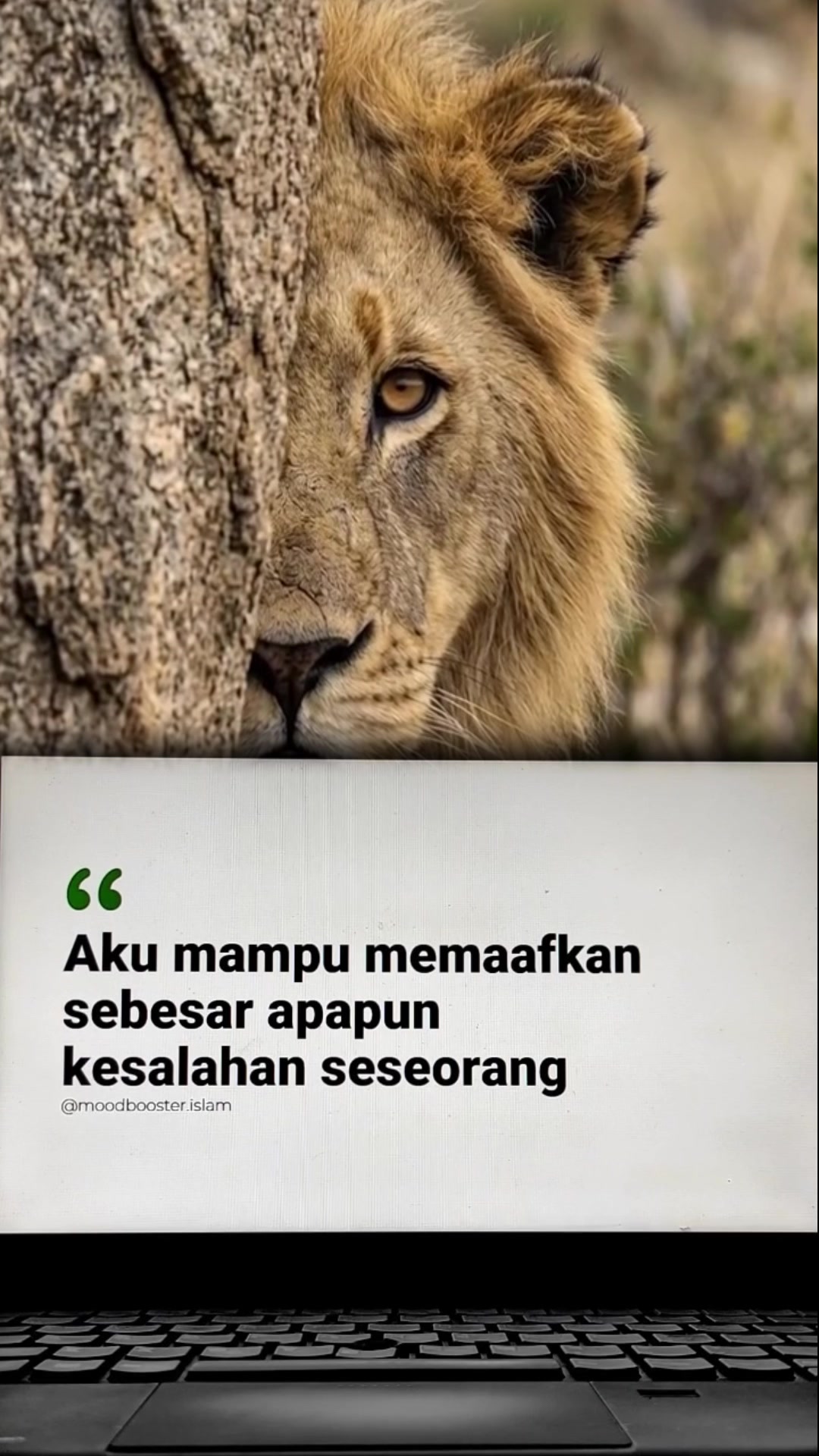 @Analia Kim