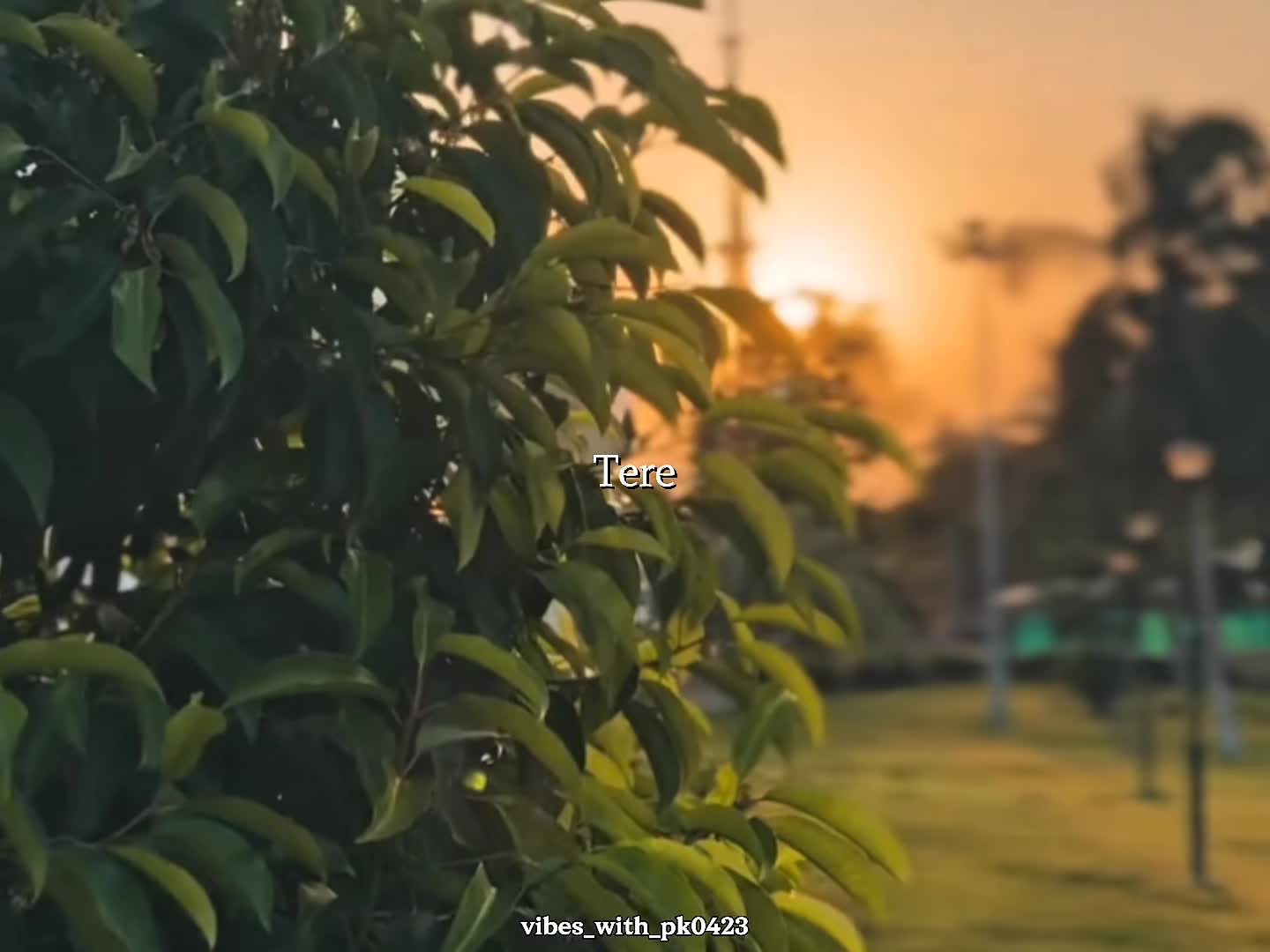 @𝗣𝗞_𝗹𝘆𝗿𝗶𝗰𝘀_𝘃𝗶𝗯𝗲&sect;