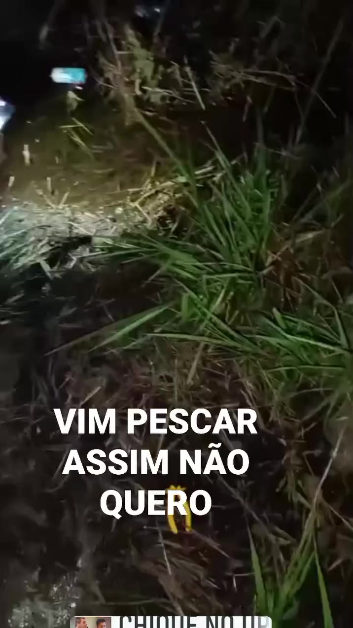 @RICARDO SILVA(GOIANO) 5151
