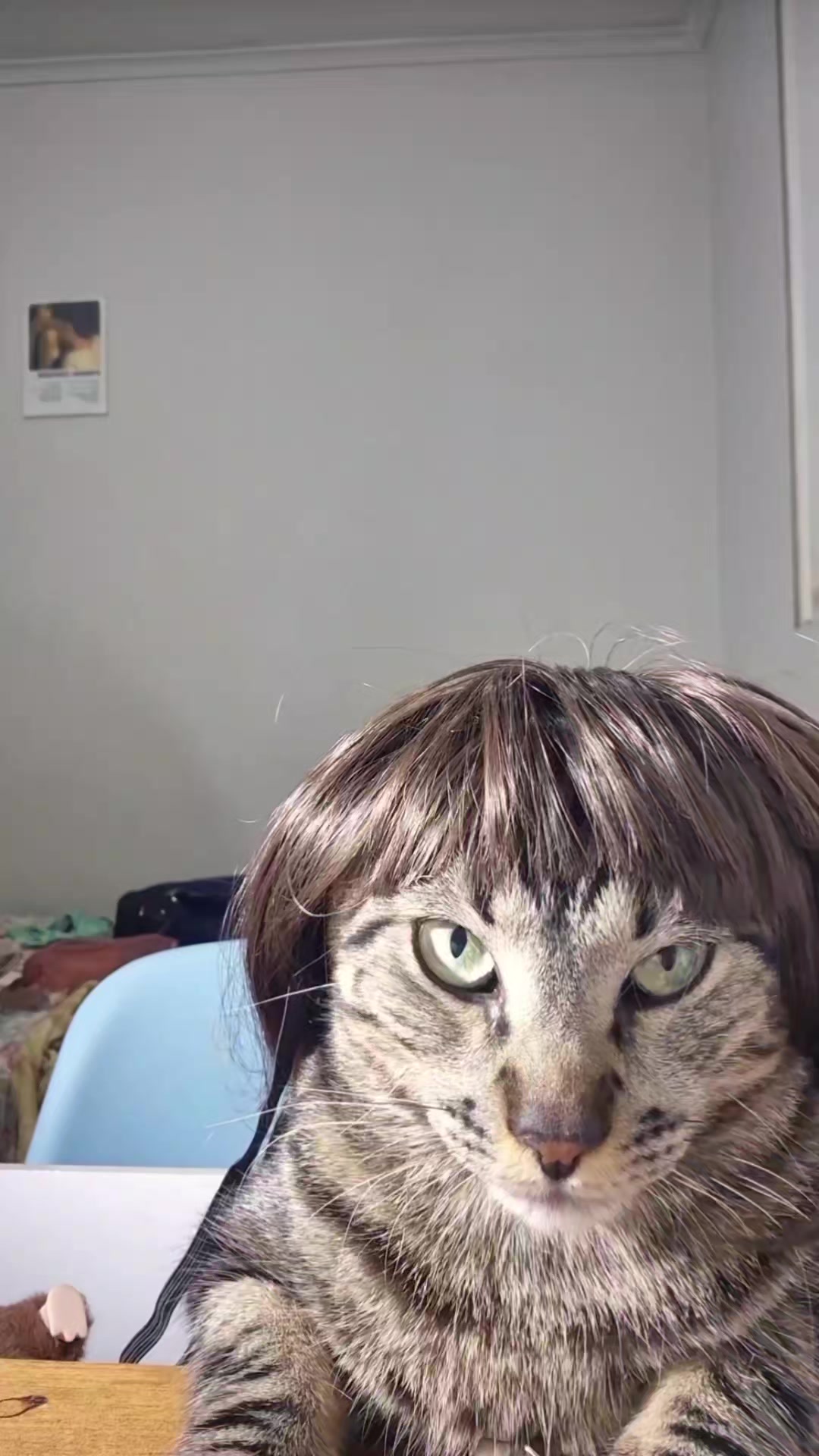 @Mushu