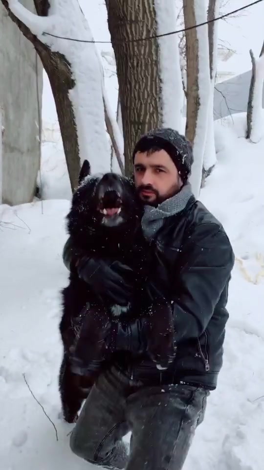 @Serkan