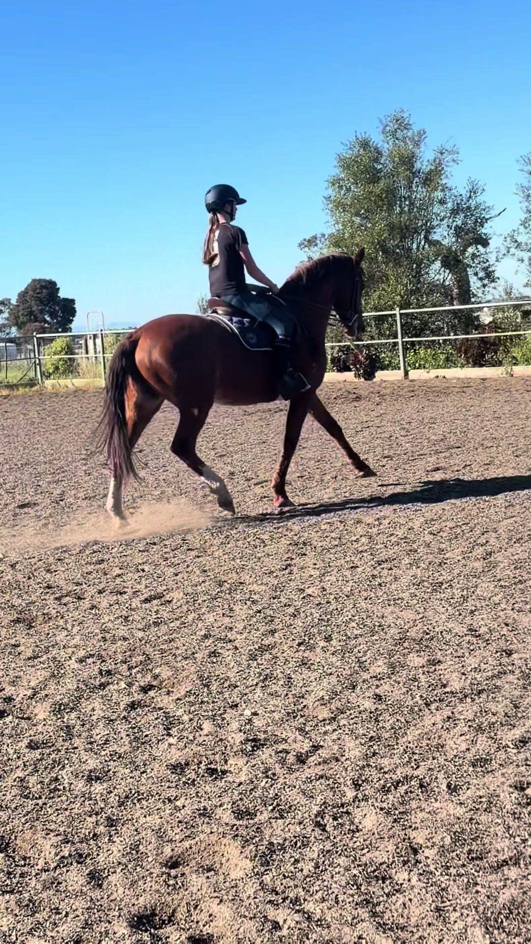 @🖤 Savs ponies🤍