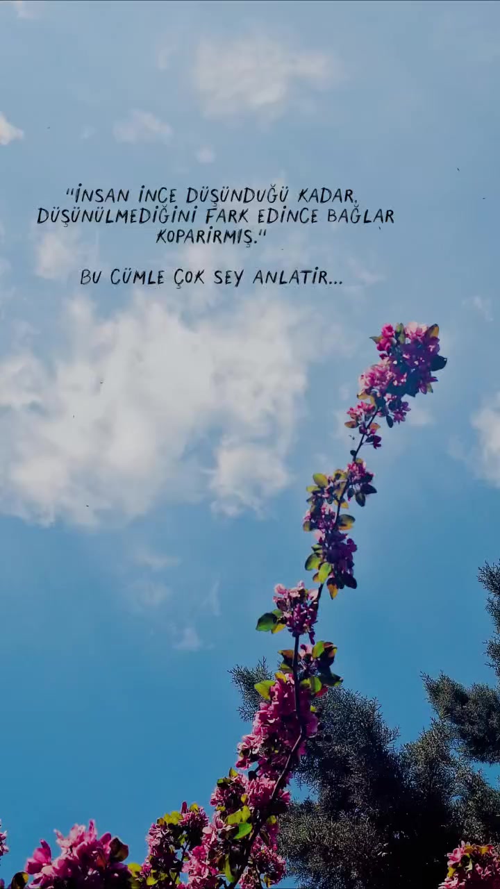 @Kaderimsin